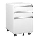 Dripex Metall Rollcontainer Stahl Rollcontainer mit 2 Schubladen und...