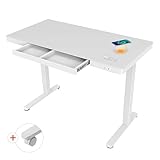 ATLASIO Elektrisch höhenverstellbarer Schreibtisch 120x60 cm mit Wireless...