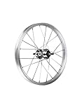 BERETTACERCHI Unisex – Erwachsene Rad 16x1,75 ALLE. HINTEN (Nabe 110mm...