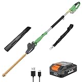 WORKPROX Akku Teleskop-Heckenschere 20V mit 2,0Ah Batteie & Typ-C Ladekabel,...