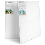 M MERCEO 2er-Set Künstler-Leinwand zum Bemalen 50x70cm groß. Die leere, weiße...