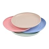 4 Stück Plastikteller Mehrweg, Unzerbrechliches Camping Teller, 15cm...