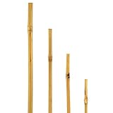 bellissa - Bambusstäbe 180cm 10er Set Rankhilfe Bambusstangen - Pflanzenstütze...