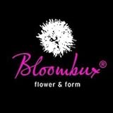 !!WELTNEUHEIT!! Bloombux® – flower & form by INKARHO® 25-30 cm breit im 2...