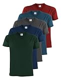 ALPIDEX Herren T-Shirts 5er Set mit V-Ausschnitt Shirts Basic Shirt Baumwolle...