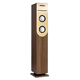 auna Lautsprecher mit Radio & CD-Player mit Bluetooth, Vintage-Standlautsprecher...