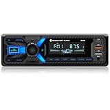 RDS Autoradio Bluetooth mit Typ-C-Ladeanschluss, Wistrue FM/AM Autoradio 1DIN...