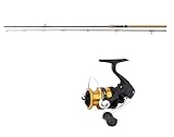 Angelset Spinncombo Daiwa Ninja Spin 2,70m / 15-50g mit Shimano Rolle FX 4000