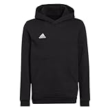 adidas Unisex Kinder Entrada 22 Sweat Hoodie, Black, 140