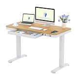 FLEXISPOT Q3 Höhenverstellbarer Schreibtisch mit LED-Höhenanzeige,...