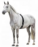 Hunters Saddlery Deluxe Longiergurt aus gepolstertem Nylon für Pferde –...