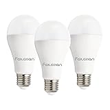 Feileman E27 LED 20W 6500K Kaltweiss Ersatz for 153 Watt Lampe, 2500lm LED E27...