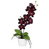CREATIV green künstliche Orchidee 60cm im Topf 13cm in dunkel-lila I...