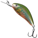 Salmo Hornet Wobbler Miniwobbler D, Salmo Farben:Holo Oikawa,...