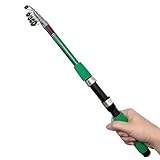 Dingbear Teleskop-Angelrute – Superharte Mini-Meeresangelrute Aus Fiberglas...