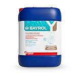 BAYROL Chloriliquide 20 L Flüssigchlor - Anorganisches Chlor flüssig für Pool...