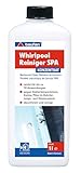 Baufan SPA Whirlpool Reiniger Konzentrat 1L - Whirlpool Pflege gegen Bakterien,...