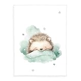 Herding babybest Kleiner Igel Microfaserflausch-Decke, Kuscheldecke, 75x100 cm,...