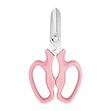 CYRUS Gartenschere Blumenschere scharf Gartenarbeit Floristen Bonsai Werkzeuge...