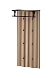 Schildmeyer Hank Hankenpaneel 157120, Schwarzmatt/Akustikpaneel Optik, 50 x 20,9...