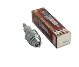 CHAMPION Zündkerze RJ19LM - Langlebig & Zuverlässig - Premium-Qualität -...