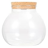 FRCOLOR Led Glasflasche Mit Korkdeckel, DIY Micro-Landschaftsflasche Mit Weißem...