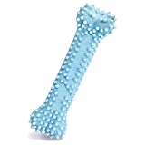 Nylabone, Kauknochen für Welpen und Zahnpflege-Spielzeug für zahnende Welpen,...