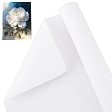 OLYCRAFT 37.3cmx5m Leinwand auf Rolle Doppelt Grundierte Baumwoll Leinwand...