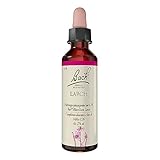 BACHBLÜTEN Larch Tropfen 20 ml
