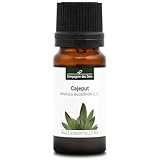 CAJEPUT (Melaleuca leucadendra) BIO - 10 ml - Hochwertiges ätherisches Öl -...