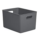 TATAY Aufbewahrungsbox Kunststoff 22 L Baobab | Organizer Box | Integrierte...