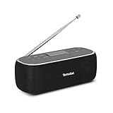 TechniSat VIOLA BT 1 - tragbarer Bluetooth-Lautsprecher mit DAB+ Digitalradio...