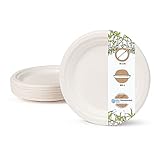 GREENBOX Umweltverträgliches Bagasse Geschirr Einweg I 50 Stück Zuckerrohr...