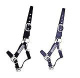 NETPROSHOP Sicherheitshalfter Weidehalfter gepolstert Größe Pony, Cob, Full,...