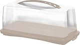 Rotho Kuchenbehälter Fresh meadow rose, elegant, Kuchenbox, 36 x 16.5 x 16.5 cm