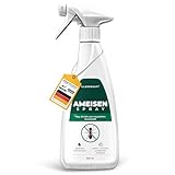 Silberkraft Ameisenspray 500 ml,hochwirksames Mittel gegen Ameisen in Haus &...