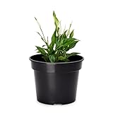 Garronda Blumentopf Kunststoff Pflanztopf rund Kräutertopf Anzuchttöpfe...