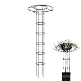 Obelisk Rankhilfe Metall,Outdoor Rankgitter Für Kletterpflanzen, Vertikaler...