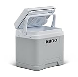 IGLOO IE24 AC/DC elektrische Kühlbox, 24 Liter, Mini-Kühlschrank 12/230 V für...