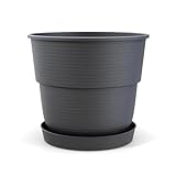 Plastard Blumentopf Milano 26 cm Durchmesser mit passenden Untersetzer Farbe...