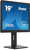 iiyama Prolite B1980D-B5 19' LCD SXGA