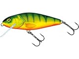 Salmo Perch Wobbler Jerkbaits für Hecht Zander Barsch Hechtköder Hechtwobbler...