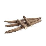 Klettenwurzel | Frische Klettenwurzeln aus biologisch zertifiziertem oder...