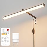 irotine Schwarz Bilderleuchte mit Fernbedienung Plug in,4W Dimmbare Bilderlampe...