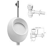 VBChome- Set: Urinal Zulauf Oben Weiß Modern Hochwertig Keramik Pinkelbecken...