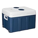 Juskys elektrische Kühlbox 40 Liter 12 V / 230 V für Auto, Lkw, Reisemobil,...