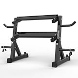 IMAYCC Verstellbares Kurzhantelregal 98x41x91 cm, Hantelständer mit 2...