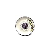 Kaladia - Keramik Reibeteller/Keramikhobel - ideal für Ingwer, Parmesan etc. -...