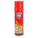 Höfer Chemie 1 x 500g Feuerlösch - Spray Brände der Klasse A, B, E, F