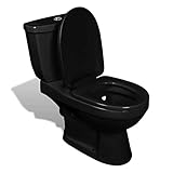 Willood Toilette Bodenstehend mit Spülkasten Keramik Design Stand WC Schwarz